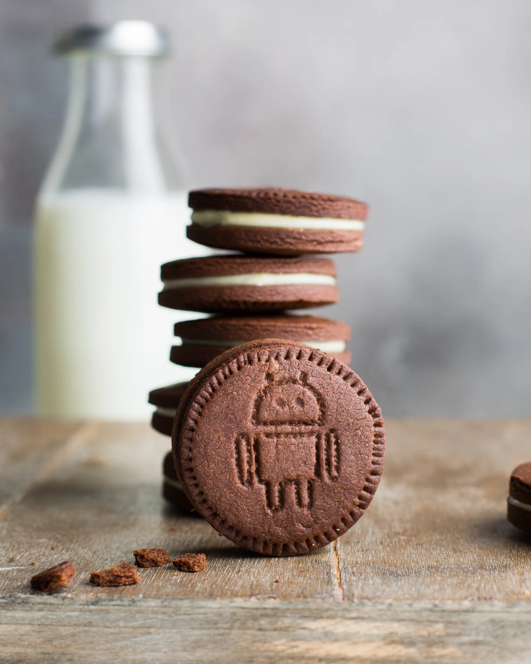 chocolate cookies with milk