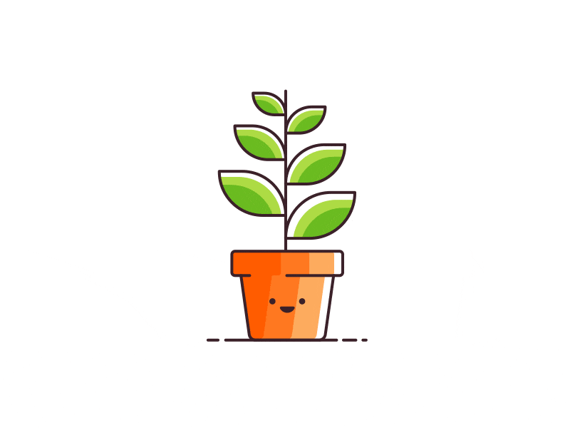 creating an indoor office garden