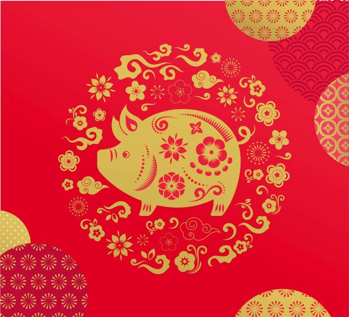 lunar new year of the pig 2019