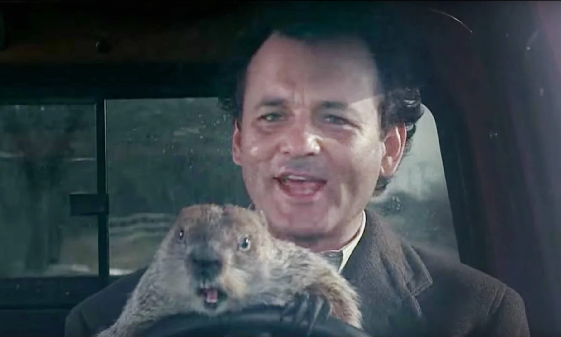 groundhog day bill murray
