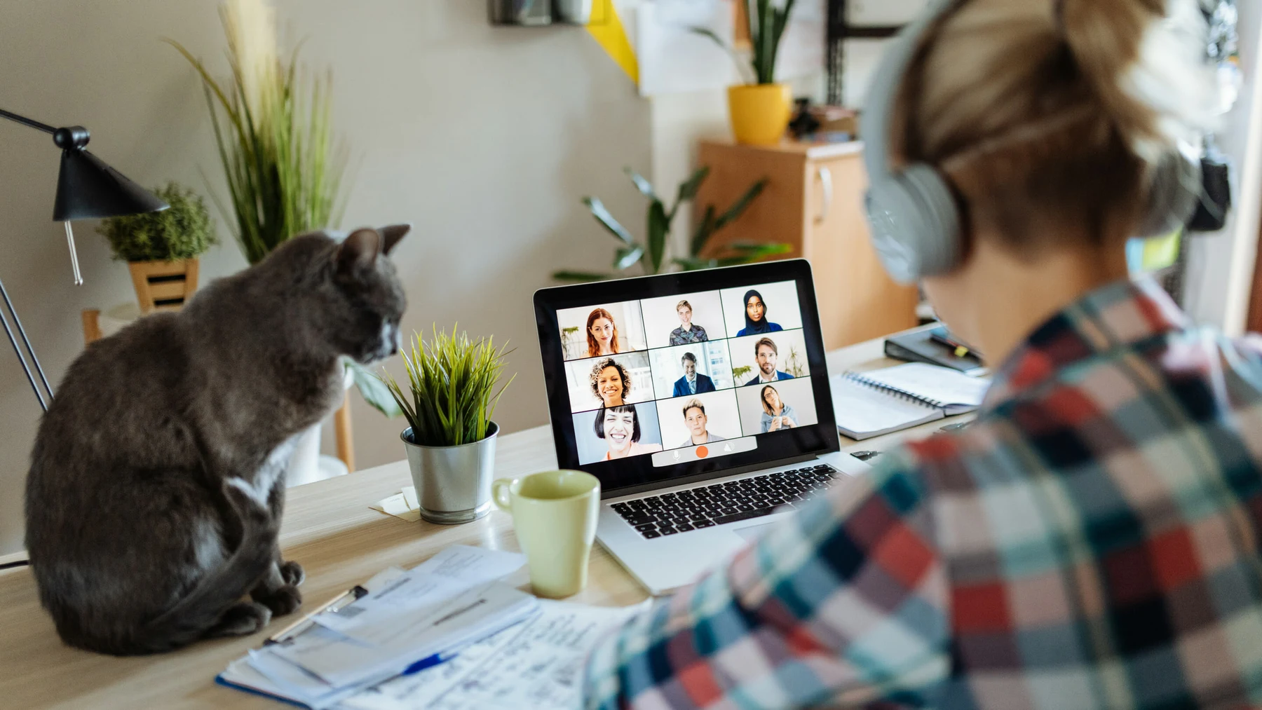 online meeting video call laptop