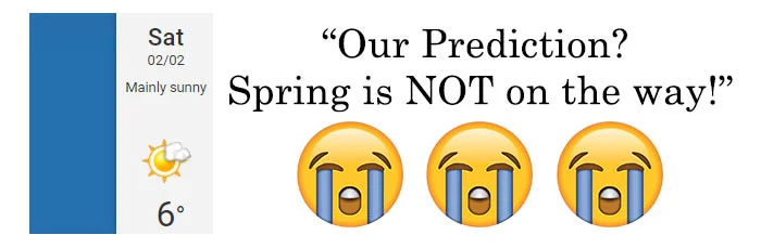 groundhog day weather prediction 2019