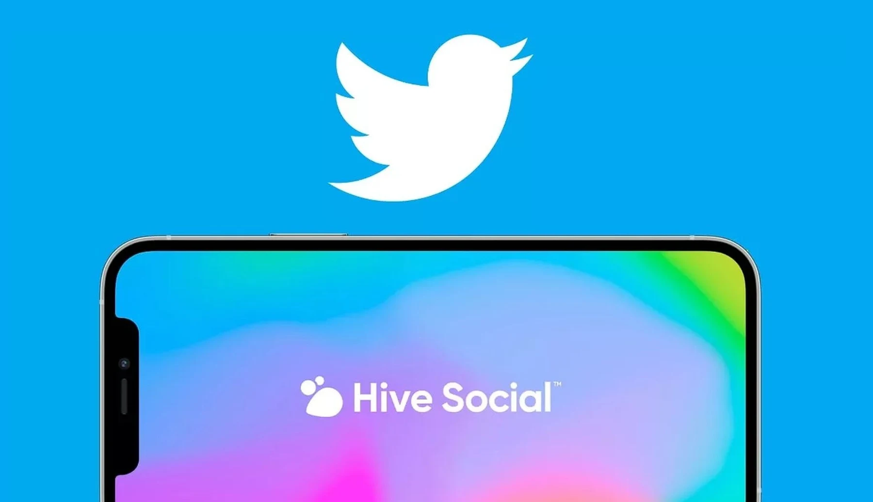 Hive social app interface