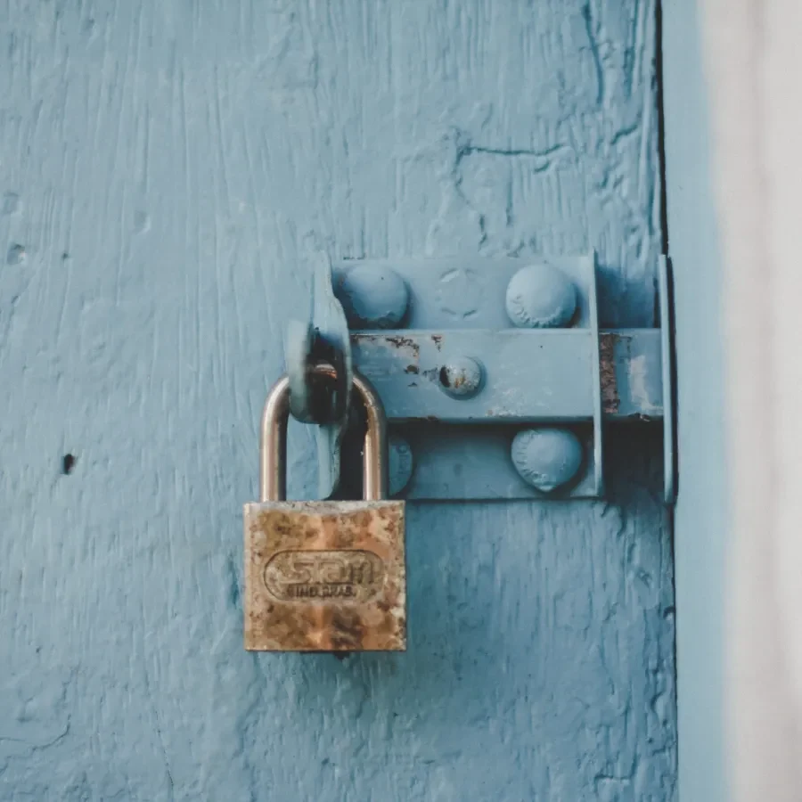 Software security services